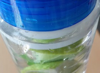 Water!!!