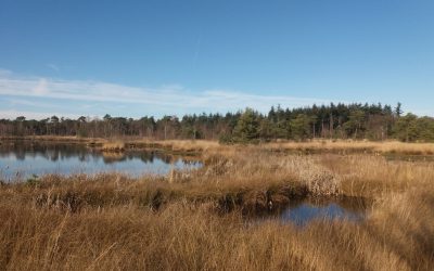 Lekker wandelweer